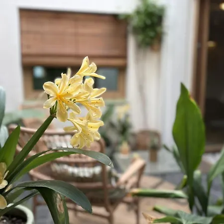 Montroig 5 Boutique Aparthotel