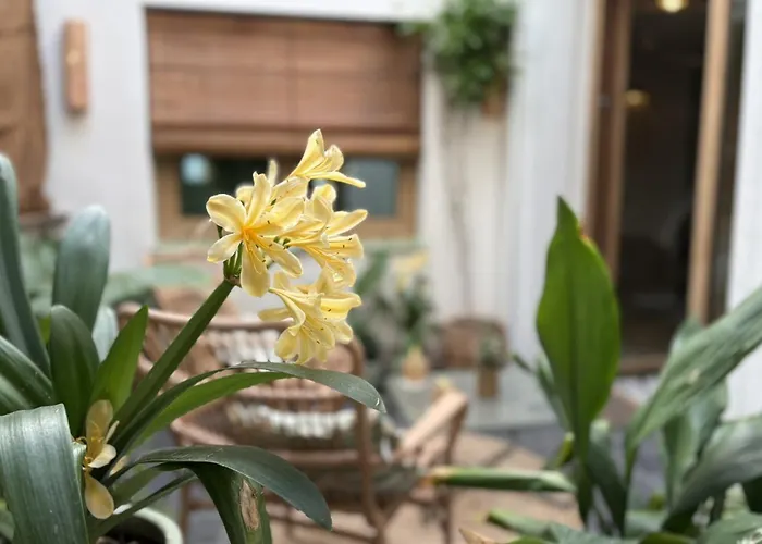 Montroig 5 Boutique Hotel apartamentowy